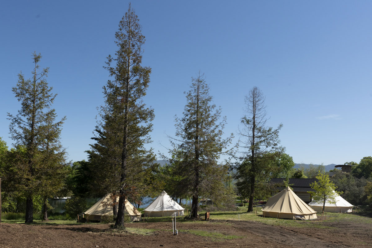 glamping-tents-4-in-trees